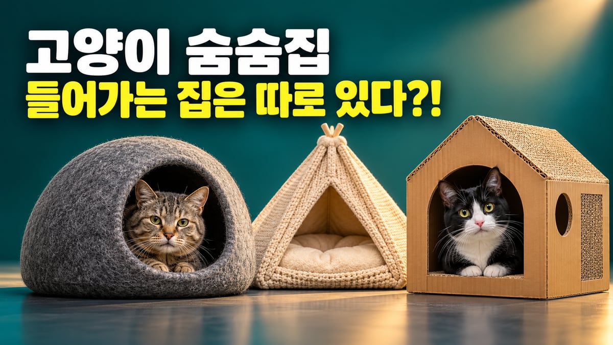 펠트 돔·니트 텐트·골판지 하우스 세 가지 고양이 숨숨집에 고등어 태비와 턱시도 고양이가 들어가 있는 모습, 고양이 숨숨집 들어가는 집은 따로 있다