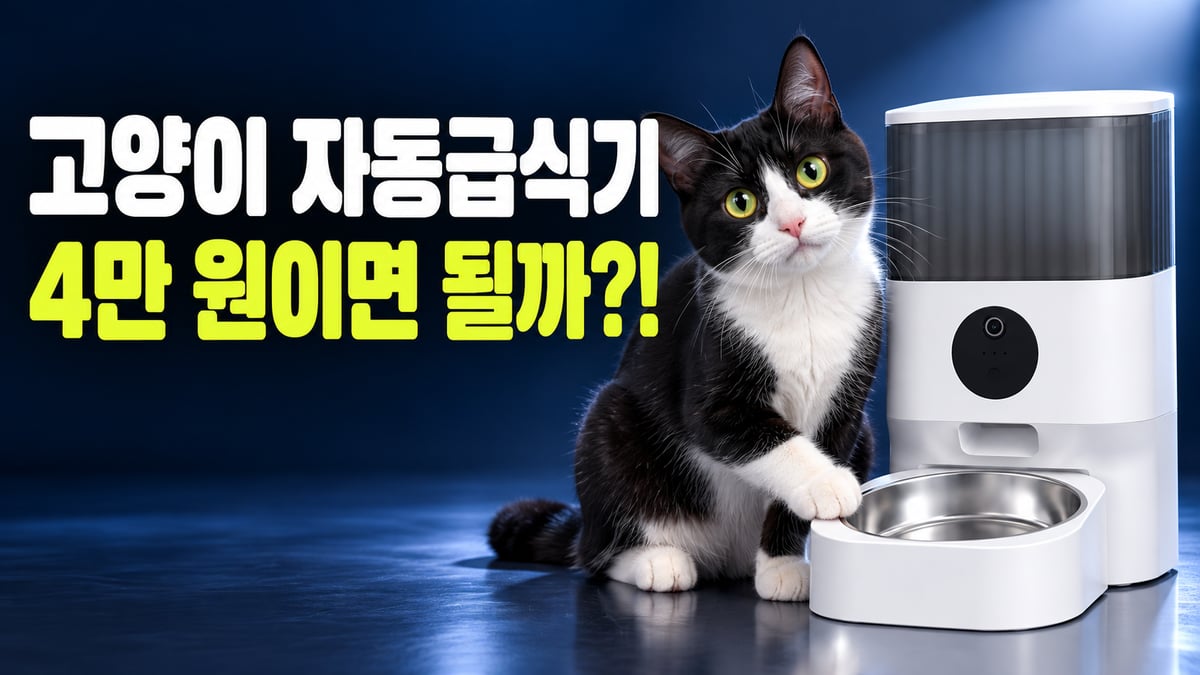 턱시도 고양이가 빈 스테인리스 그릇에 앞발을 올리고 흰 자동급식기 옆에 앉아 있는 모습, 고양이 자동급식기 4만 원이면 될까