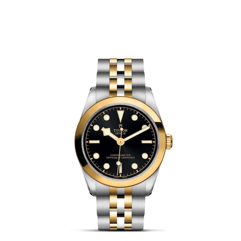 Tudor TUDOR Black Bay One 31 S&G