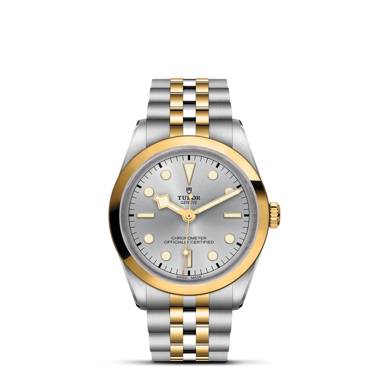 Tudor TUDOR Black Bay One 36 S&G