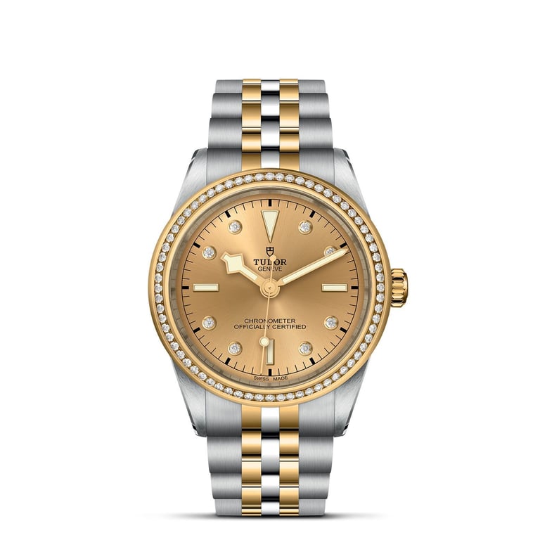 Tudor TUDOR Black Bay 39 S&G