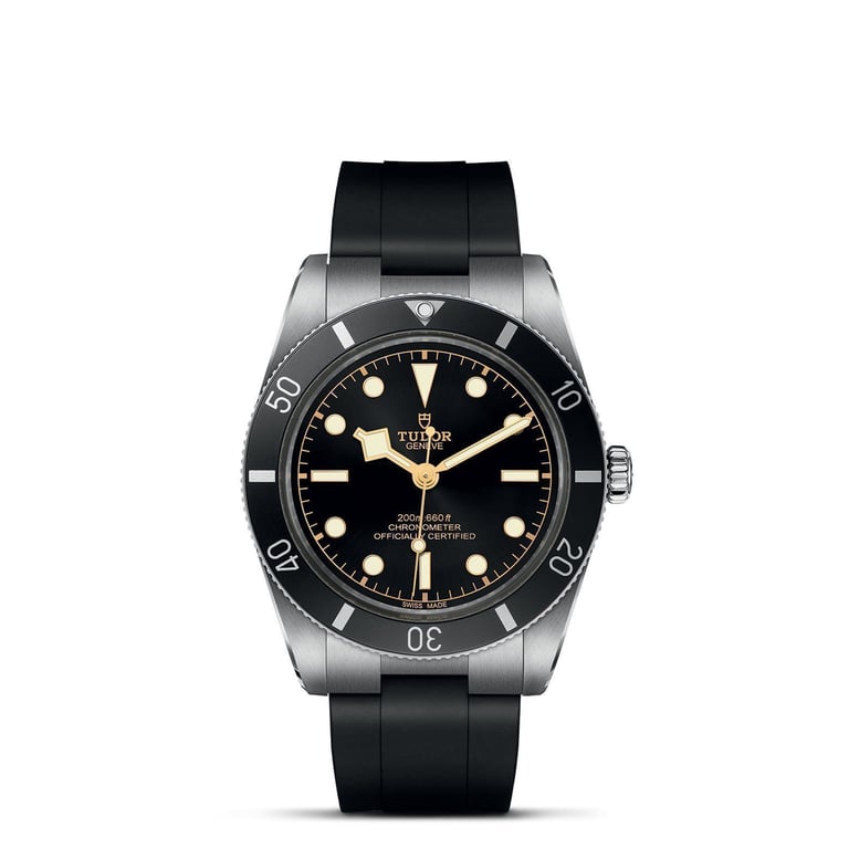 Tudor TUDOR Black Bay 54