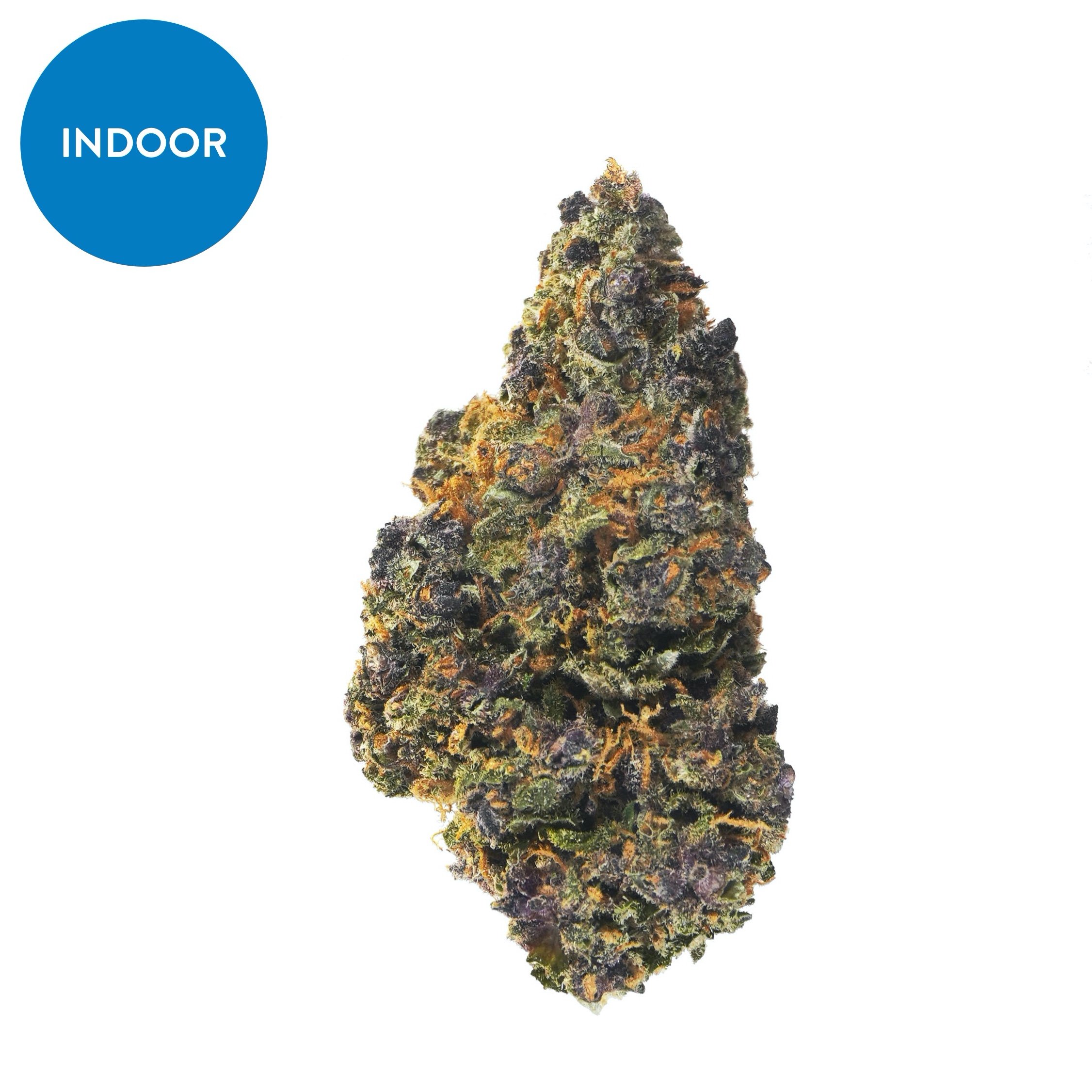 Indoor Rainbow Sherbet Sum – CBD hemp flower buds