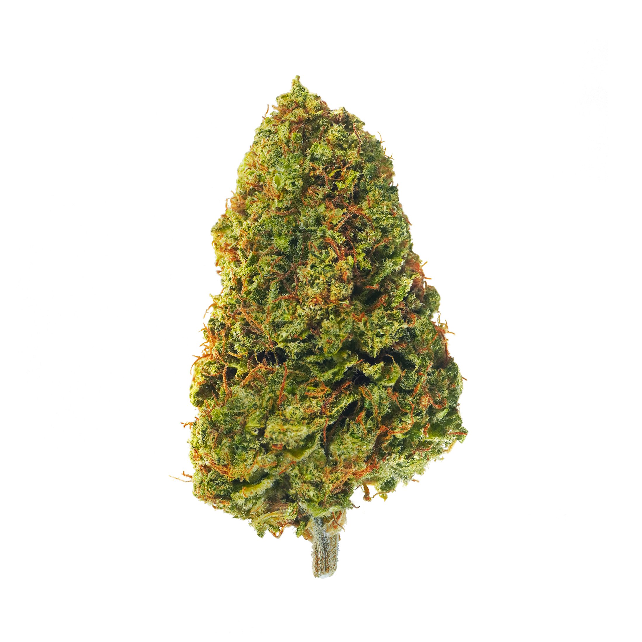 Remedy 23 – CBD hemp flower buds