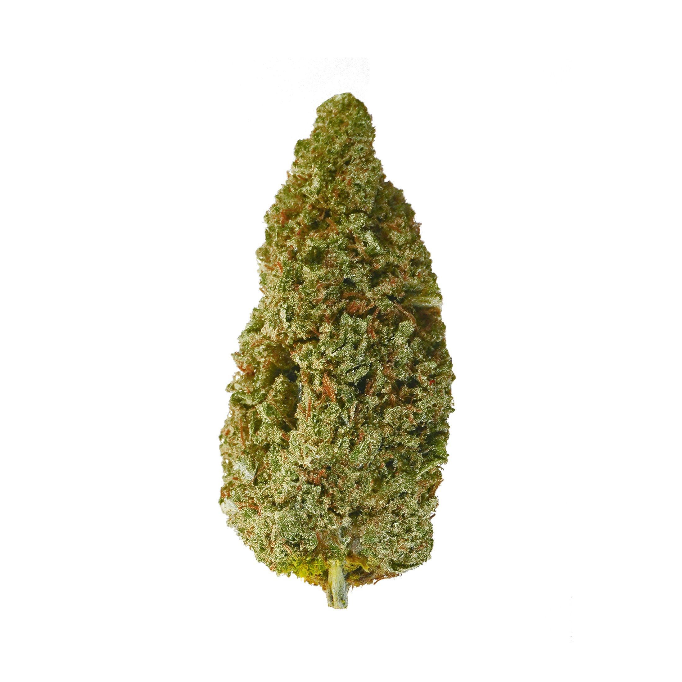 Frosted Lime 23 – CBD hemp flower buds