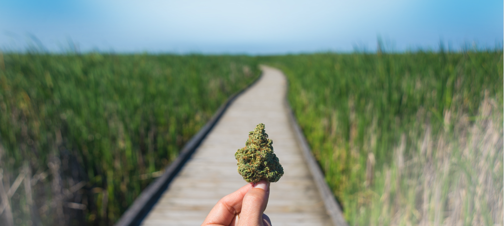 Our Commitment – CBD hemp flower buds