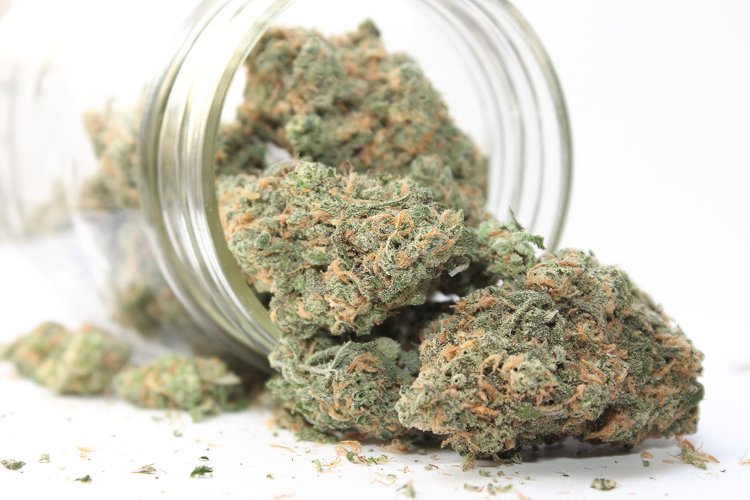 Top 3 Ways to Cure Your Cannabis Flower like a Pro