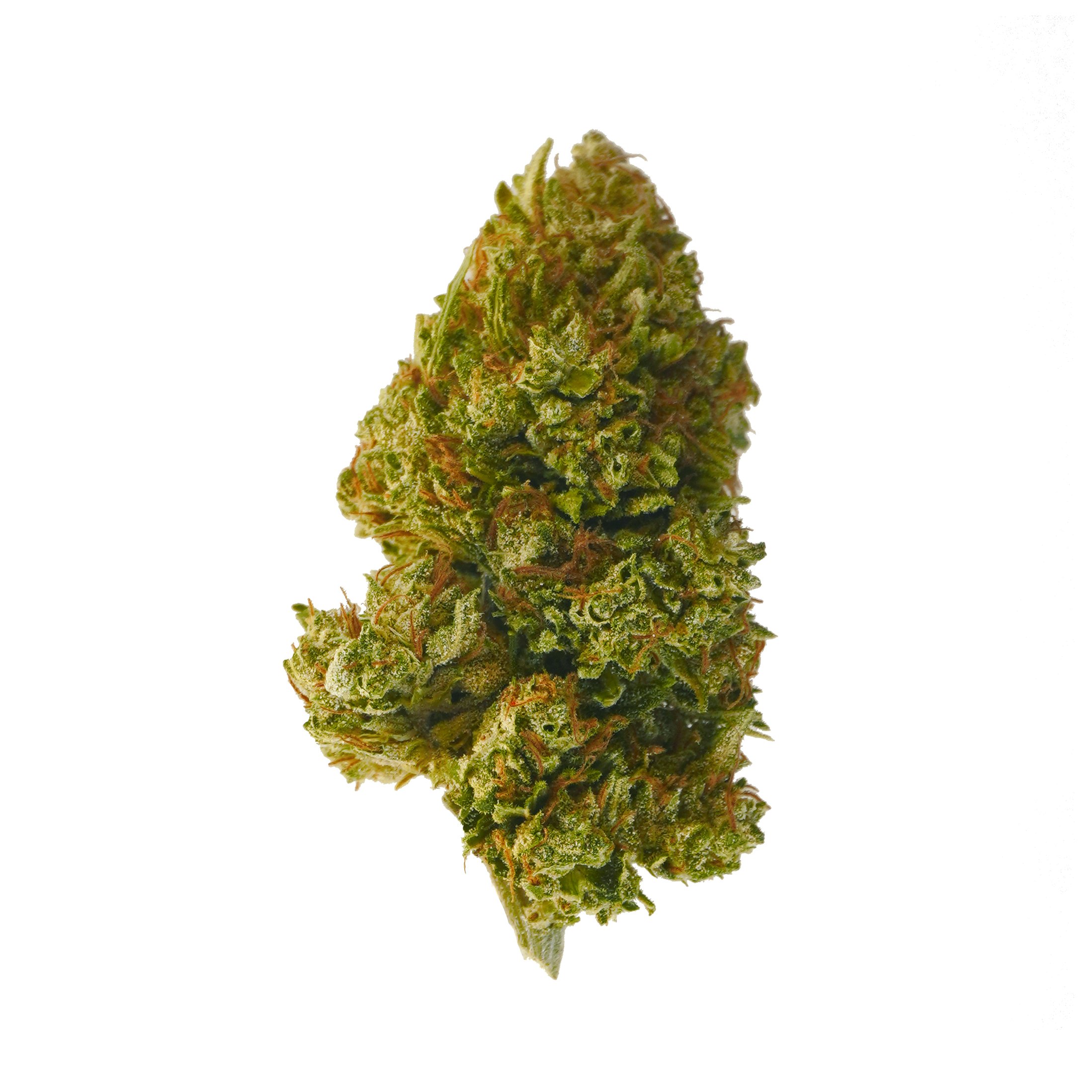 Cherry Wine 23 – CBD hemp flower buds