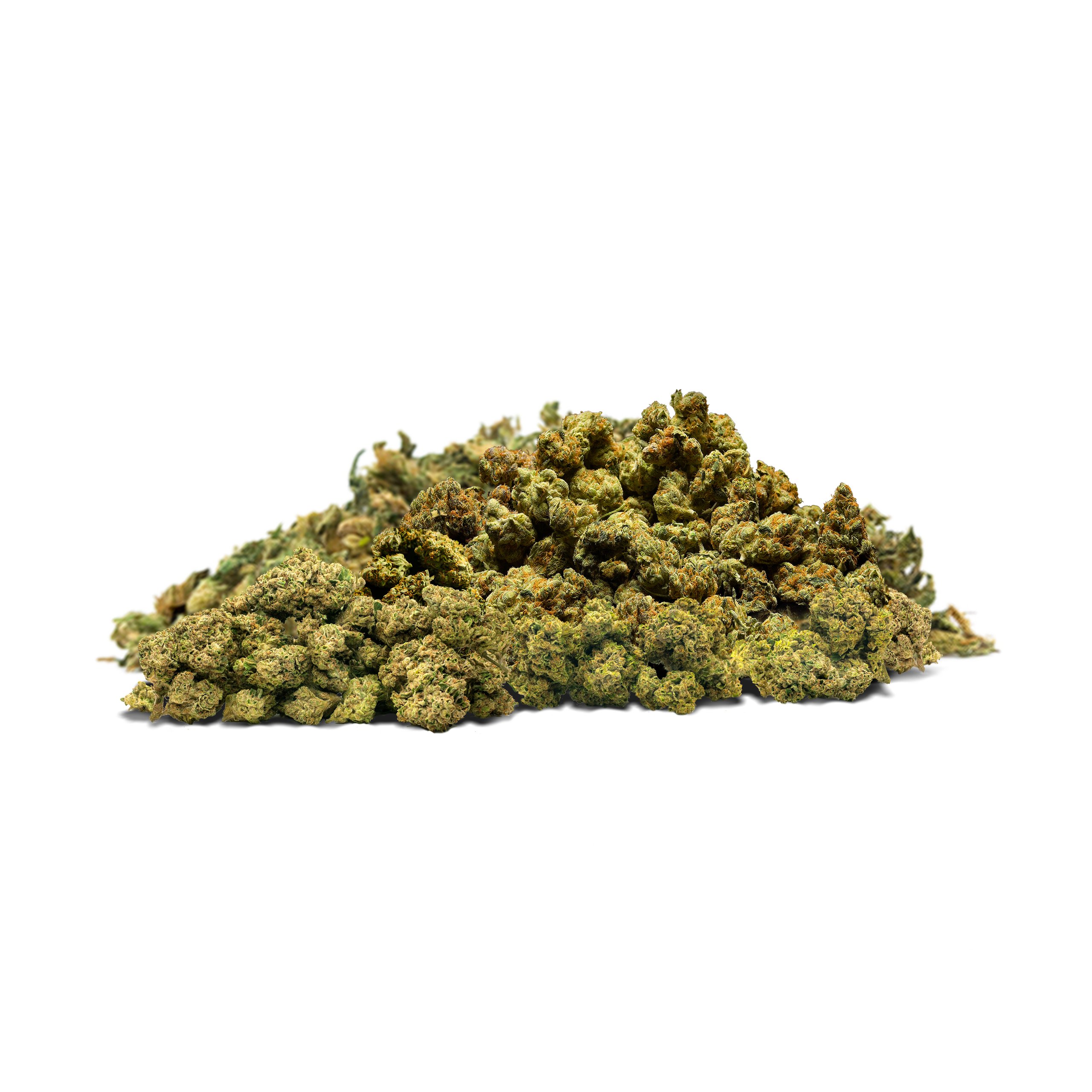 Shake Cannaflower 23 – CBD hemp flower buds