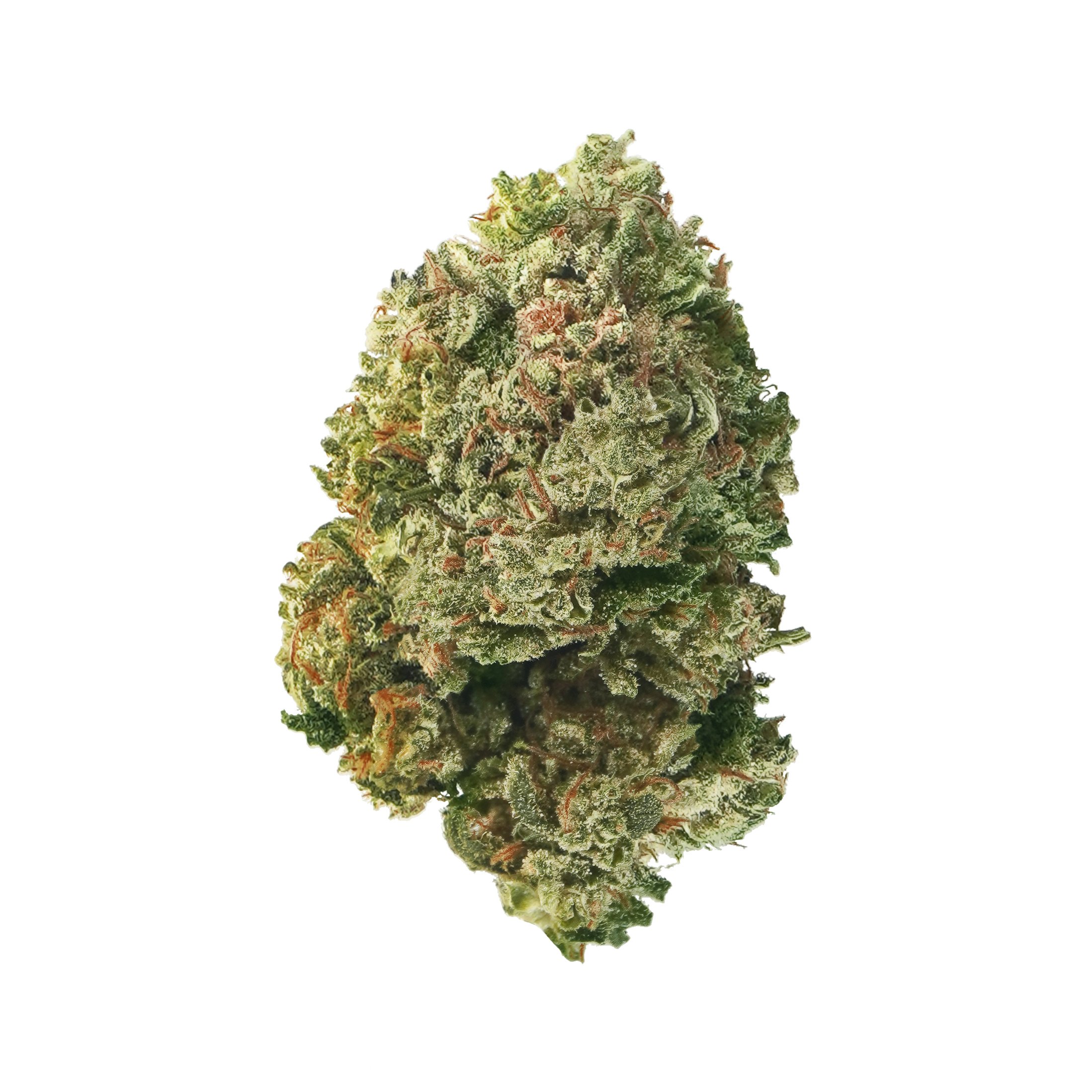 White CBG 23 – CBD hemp flower buds
