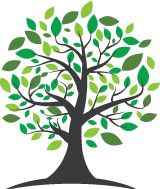 natural – CBD hemp flower buds