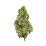 OG Kush 23 – CBD hemp flower buds