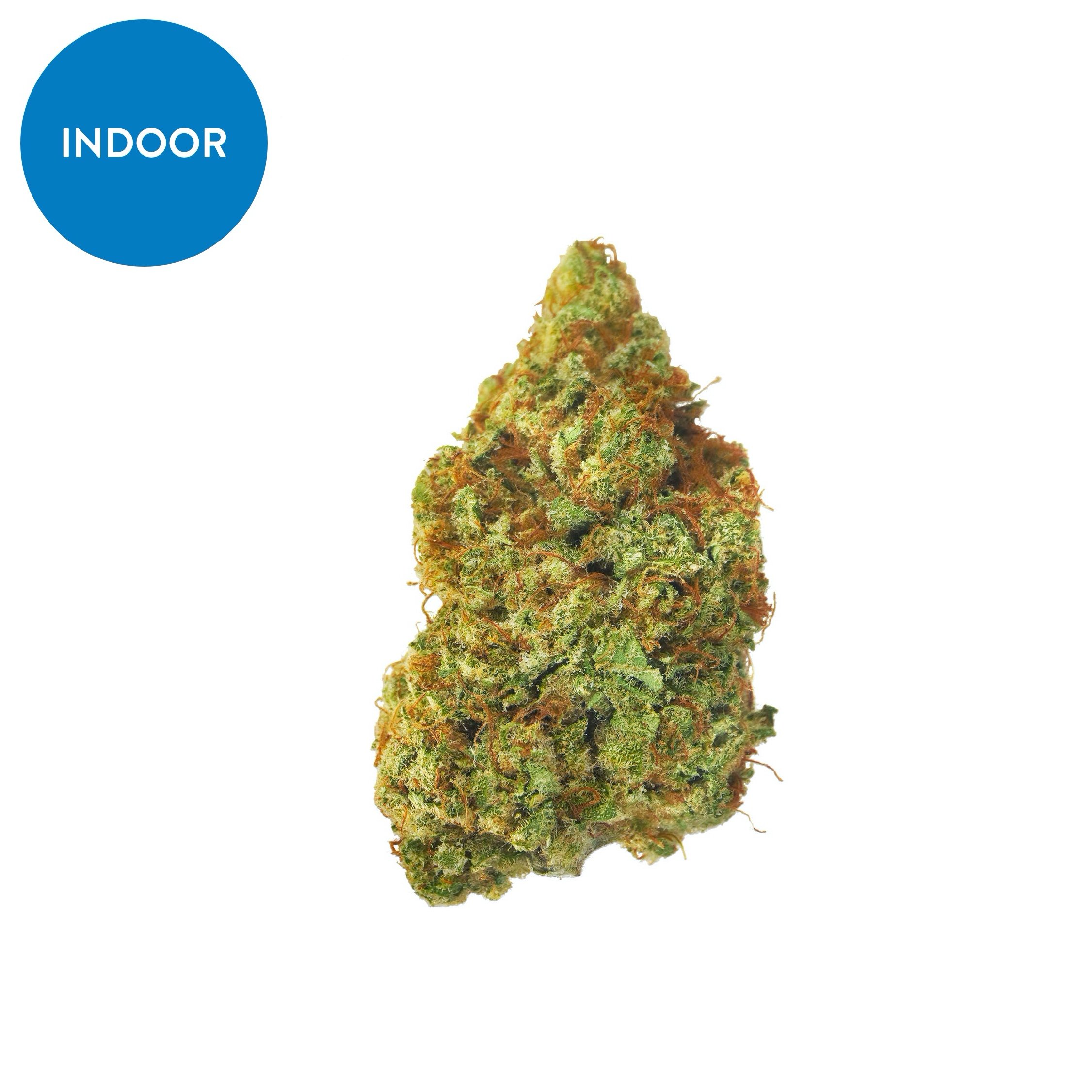 Indoor Sour Tsunami Sum – CBD hemp flower buds