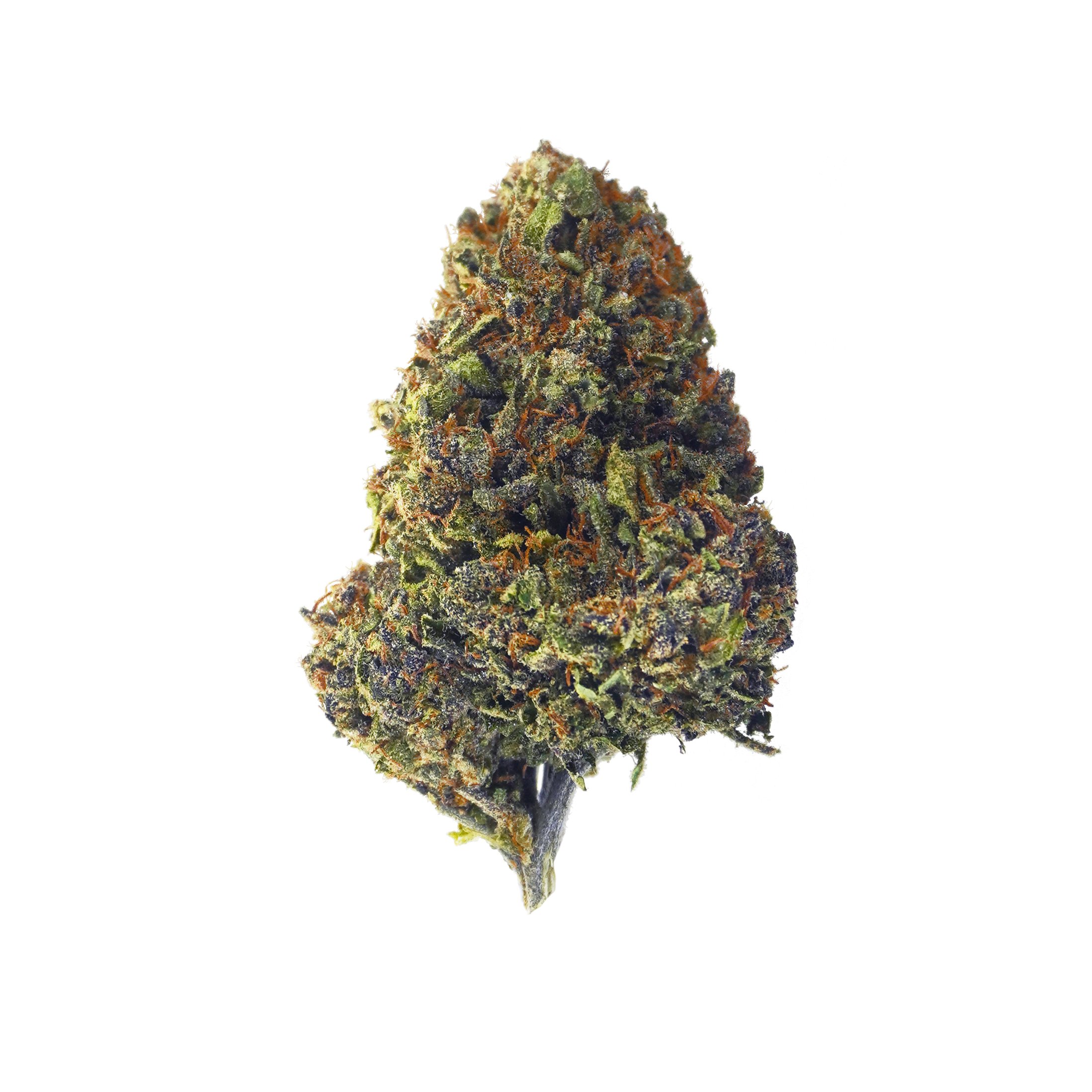 Sour Dog 23 – CBD hemp flower buds
