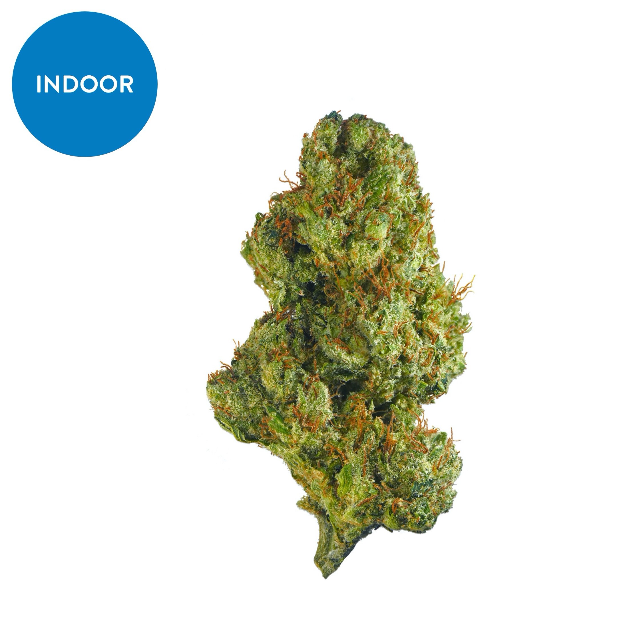 CBD Flower For Sale | Buy Premium CBD Hemp Flowers | Best Price for THCA Hemp  Flowers at Cannaflower