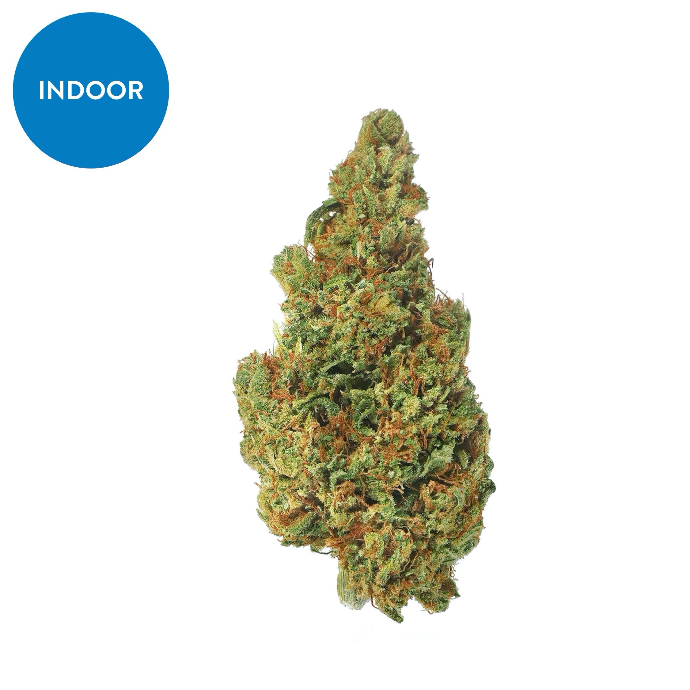 Indoor Gelato Sunset Sum – CBD hemp flower buds