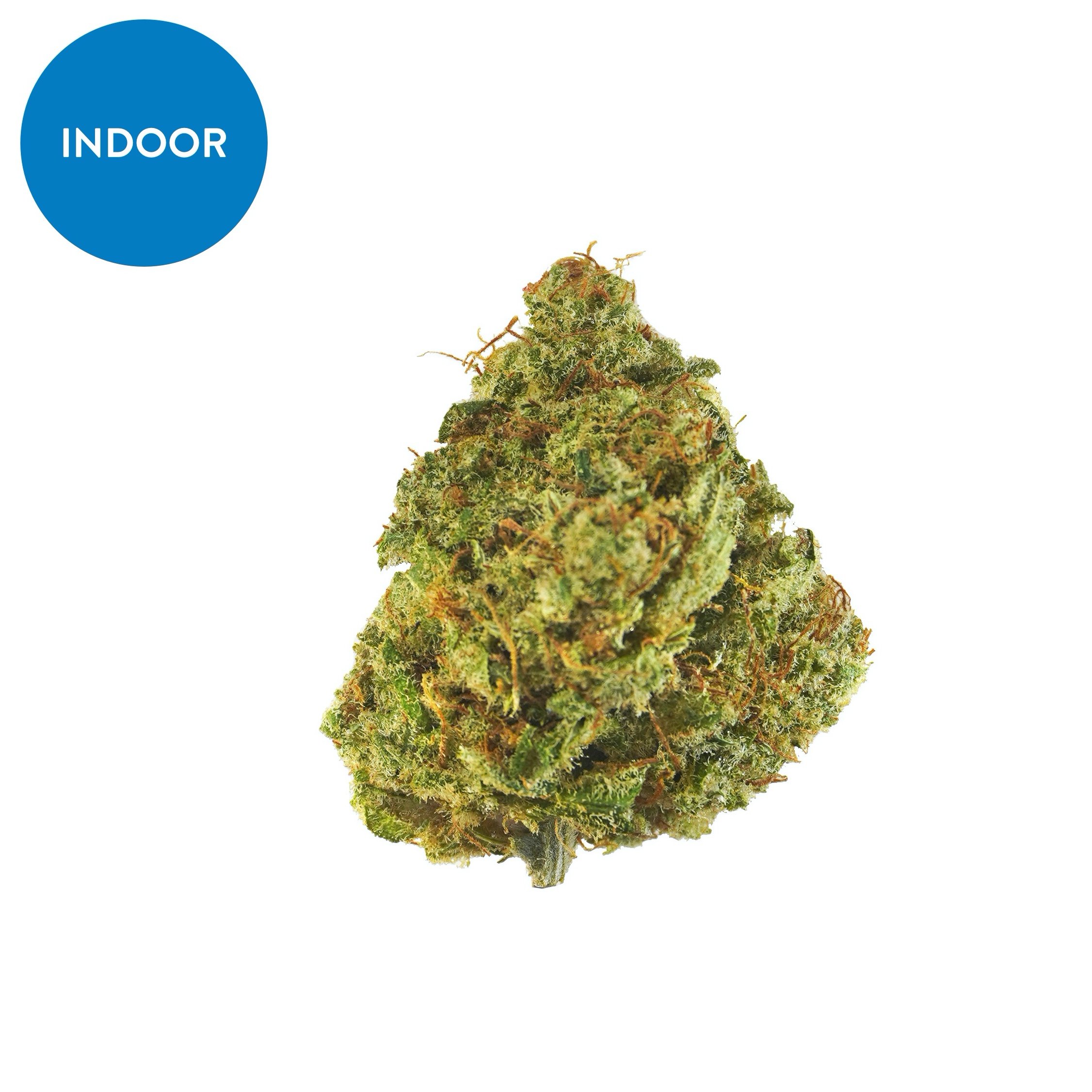 Indoor Cherry Chip Sum – CBD hemp flower buds