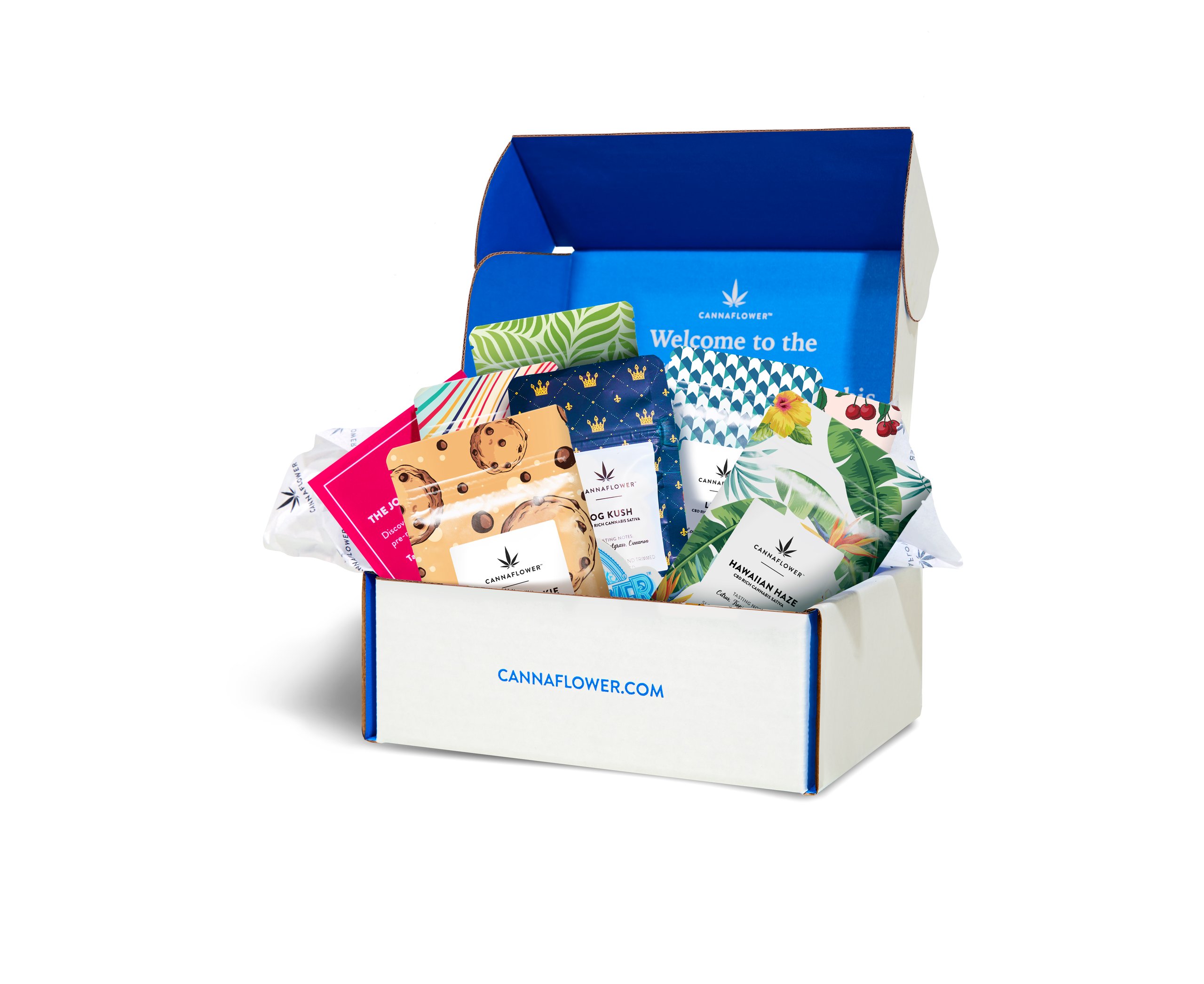 Cannaflower Voyager 2024 Box sept – CBD hemp flower buds