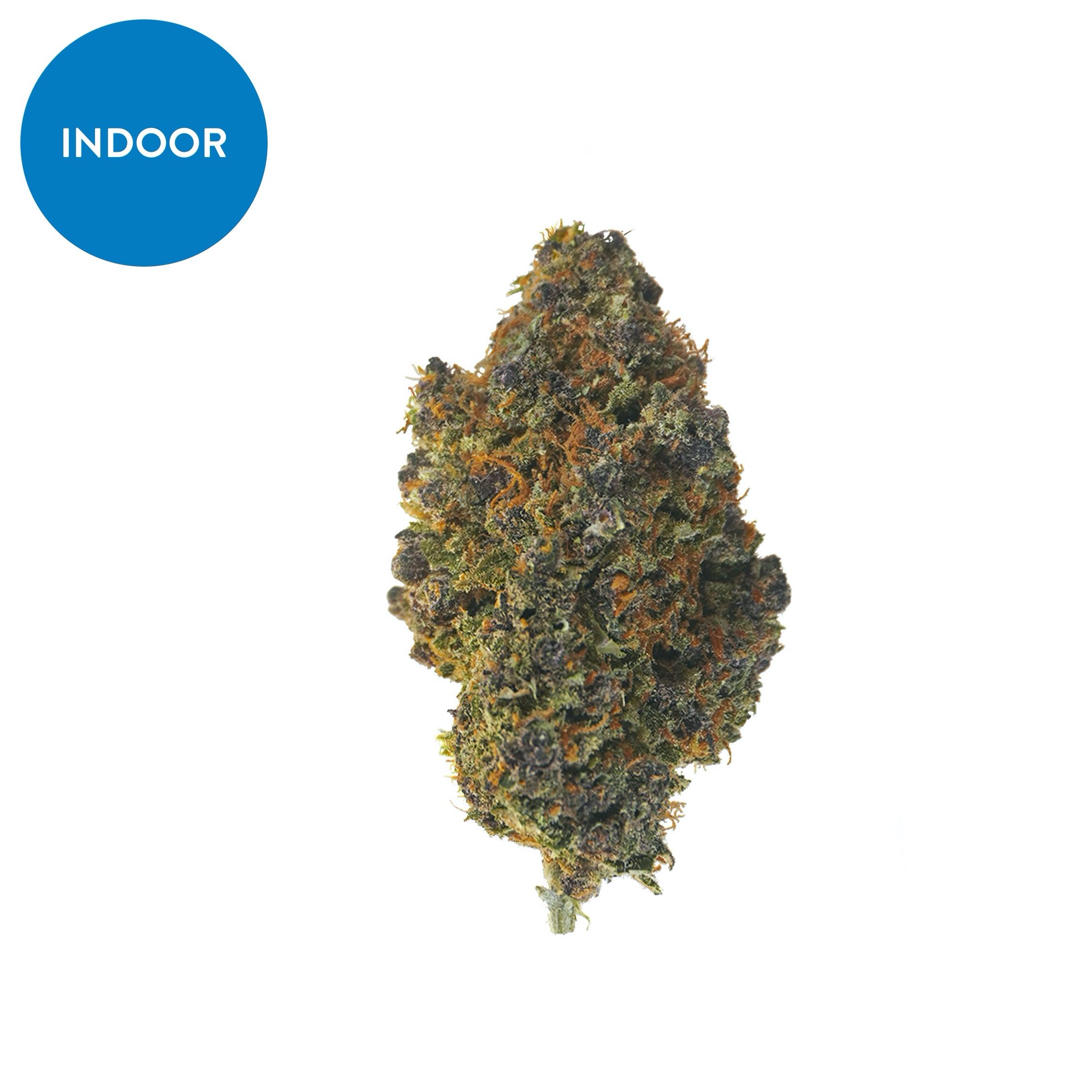Indoor Berry Cobbler Sum – CBD hemp flower buds