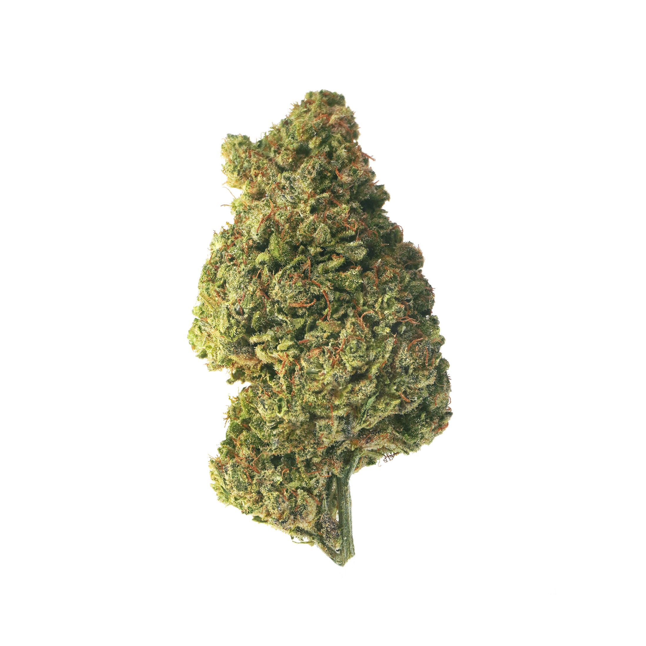 Lifter 23 – CBD hemp flower buds