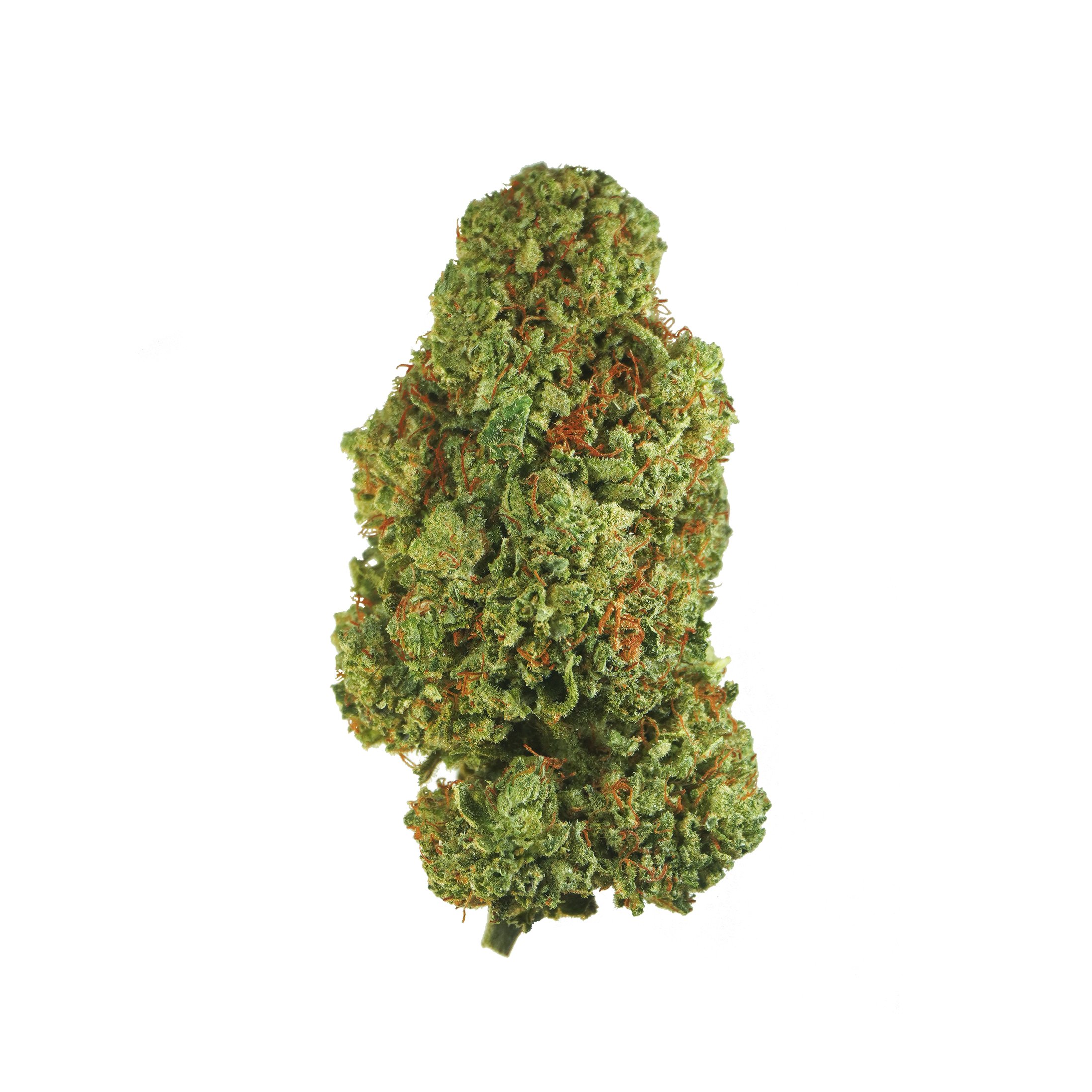 Elektra 23 – CBD hemp flower buds