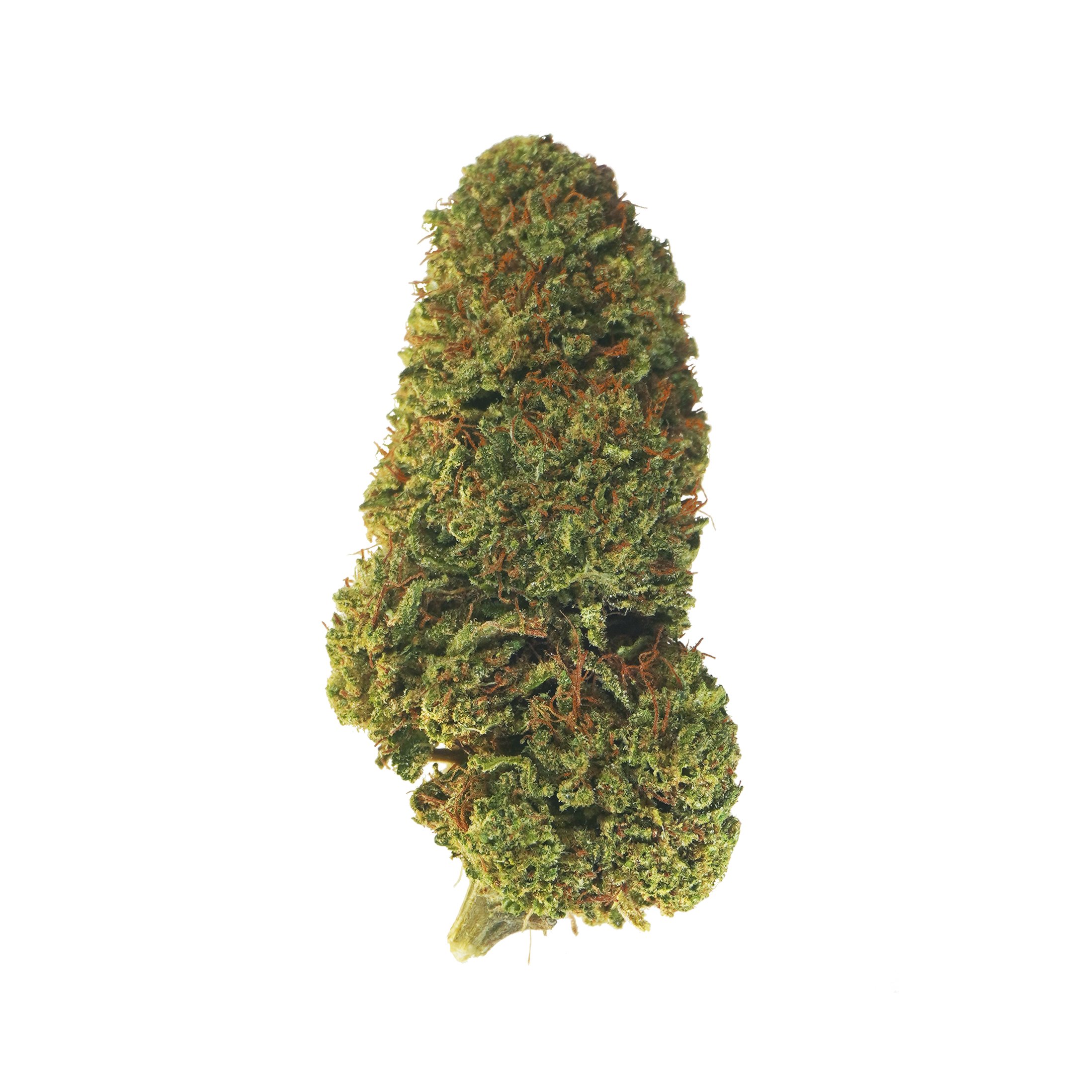Jumble Cookie 23 – CBD hemp flower buds