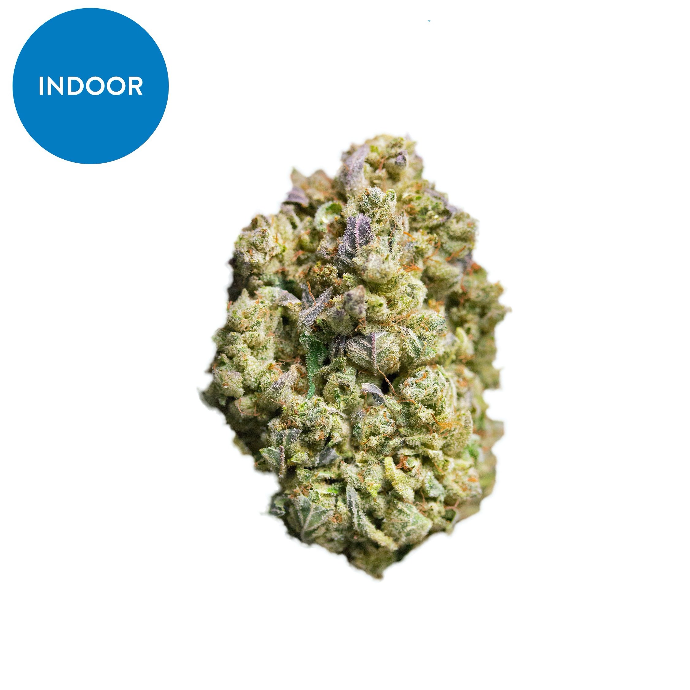 Indoor Space Invader Sum – CBD hemp flower buds
