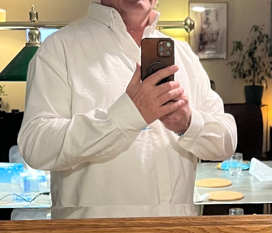 The image alt goes here