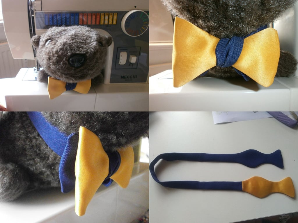 The world's cutest Benjamin bowtie