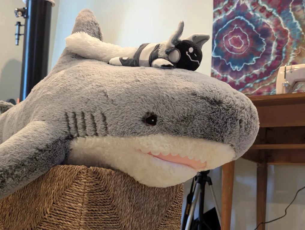 Fluffhaj wearing a protobean hat and sitting on a crate