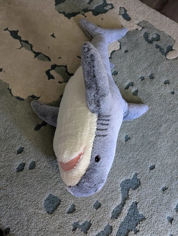 Fluffhaj on its side, swimming on the carpet