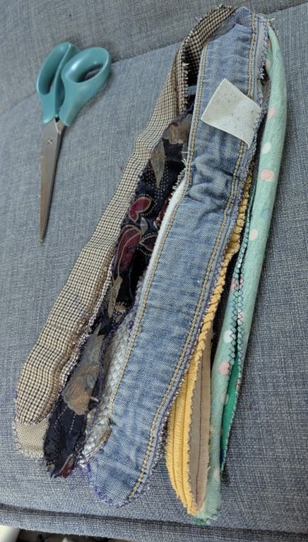 The inner parts of the tentacles