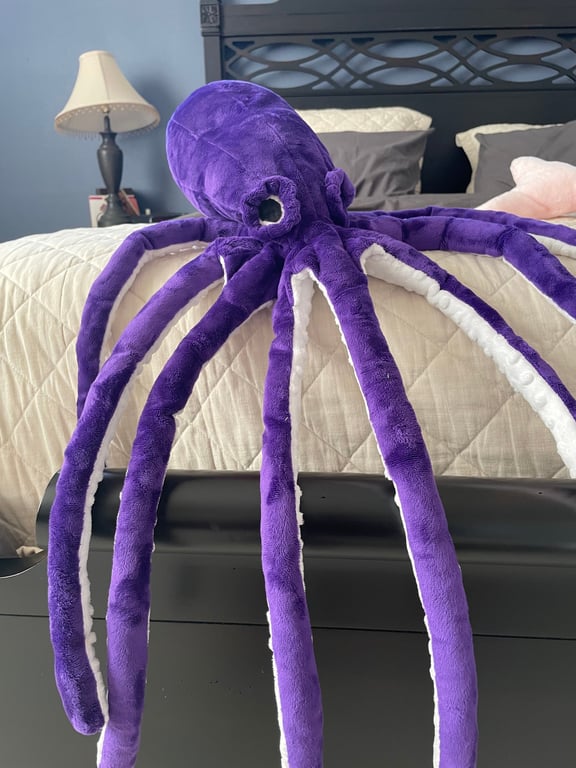 This is the octopus variant, featured with the original Octoplushy and Hi