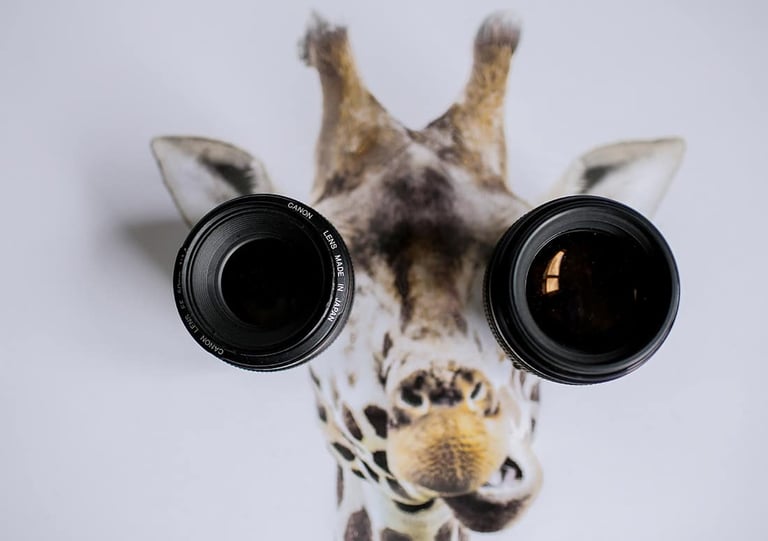 Read more about the article Think you can go viral? #watchthisspace