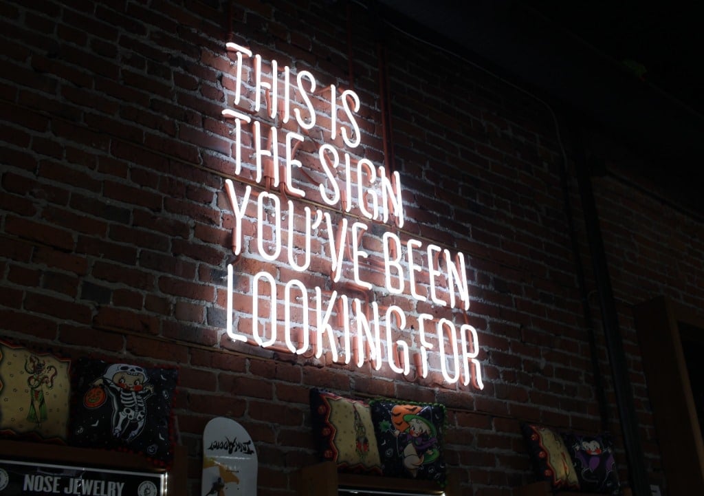 You are currently viewing Unpacking Paid Media in Social Media Marketing