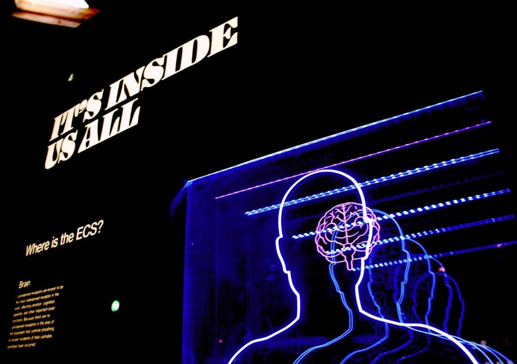 Read more about the article DMN – Default mode network