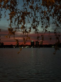 User submission from Bucharest, RO