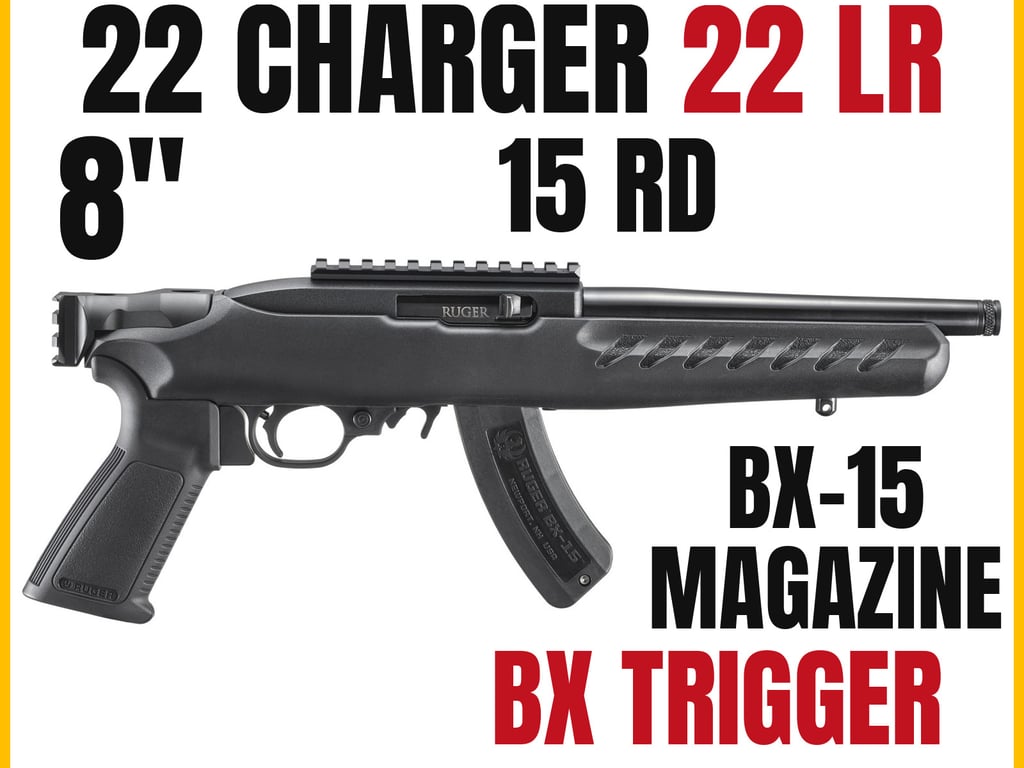 Ruger 22 Charger-img-0