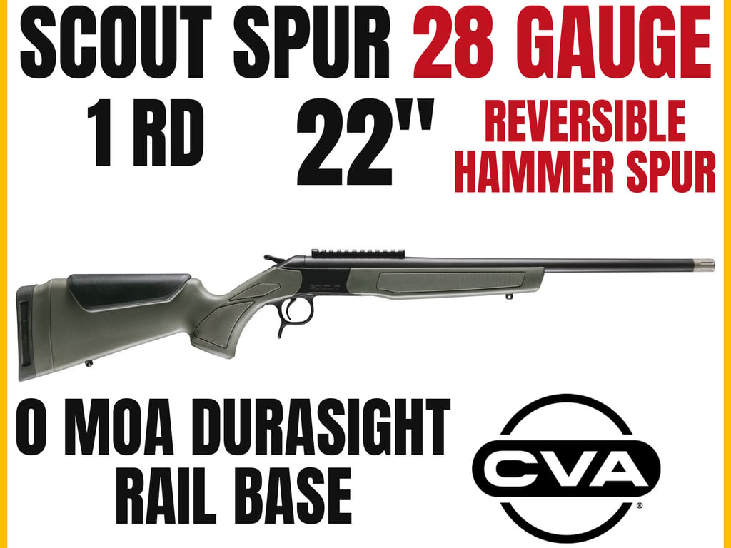 CVA Scout-img-0