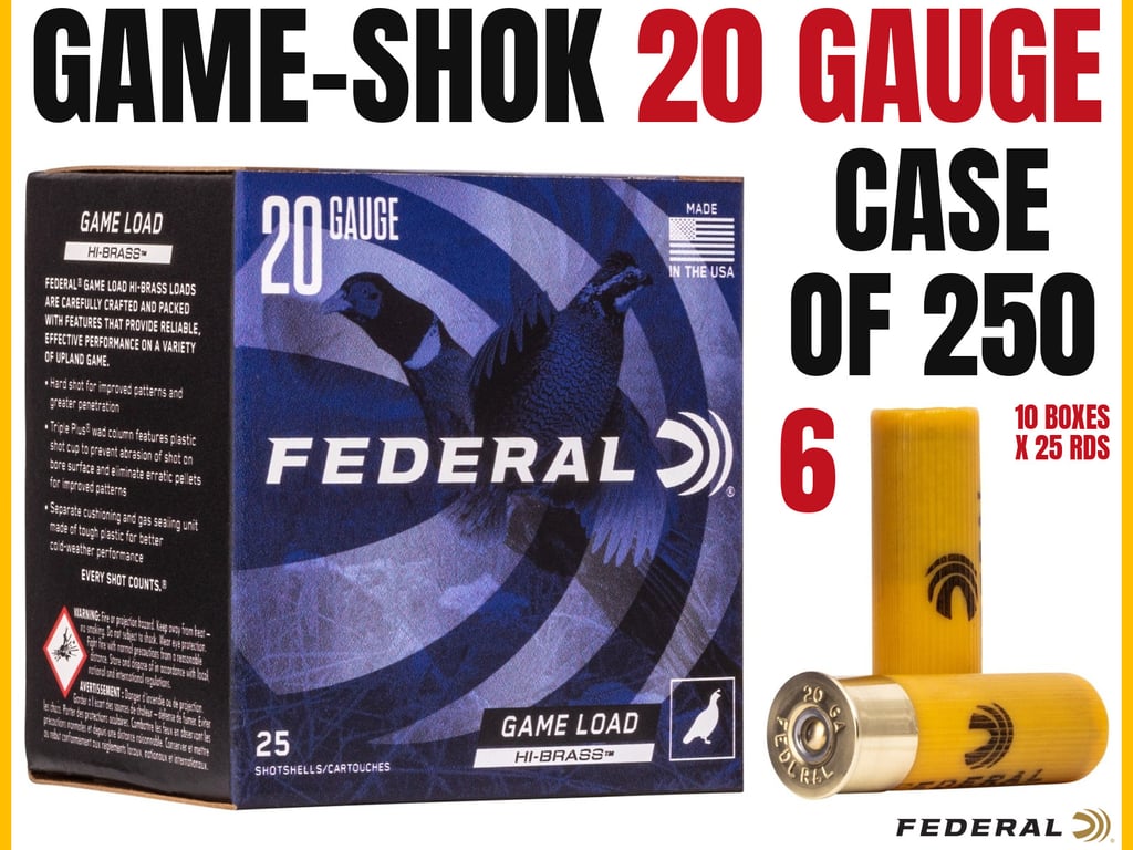 Federal 20 Gauge Bulk 250rd Case-img-0