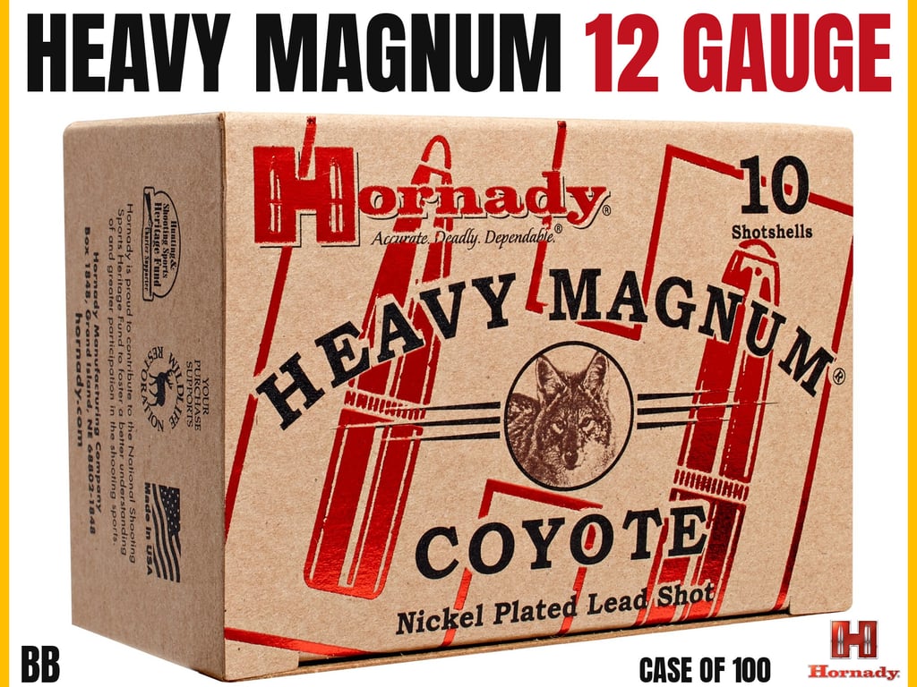 Hornady 12 Gauge Bulk 100rd Case-img-0