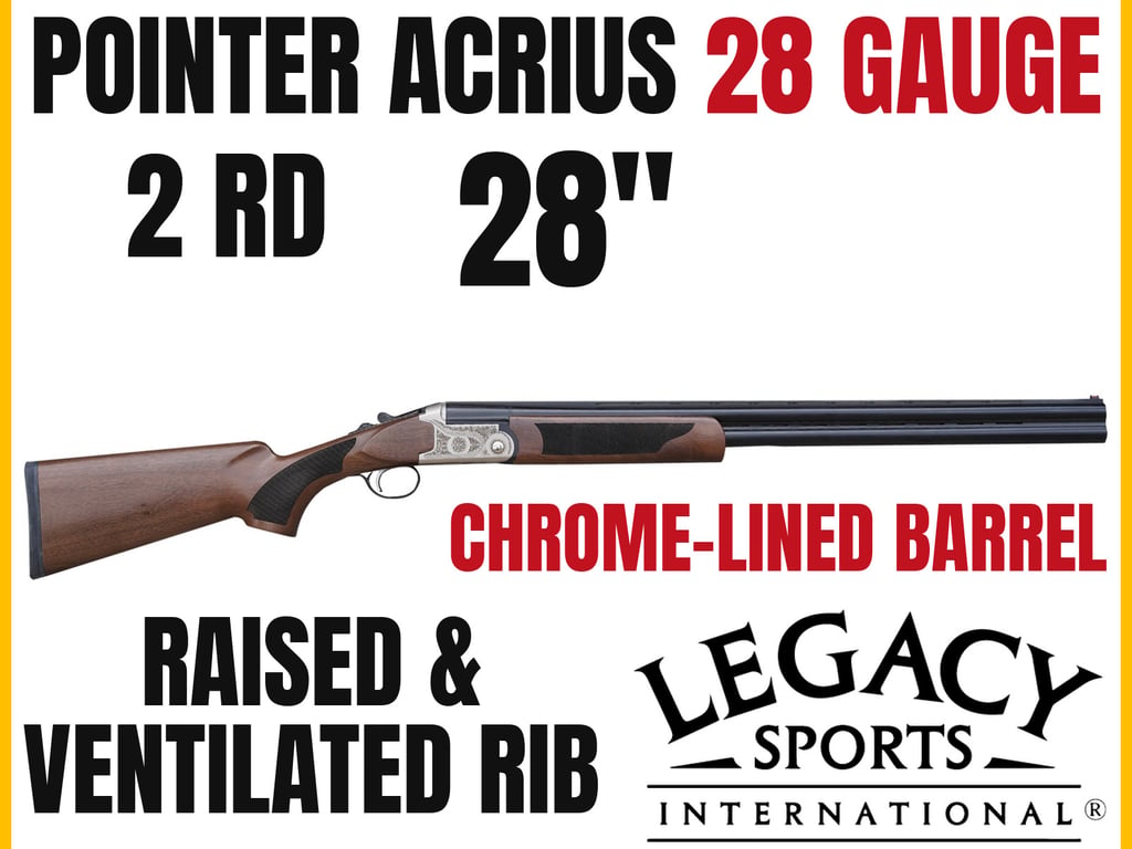 Pointer Acrius-img-0