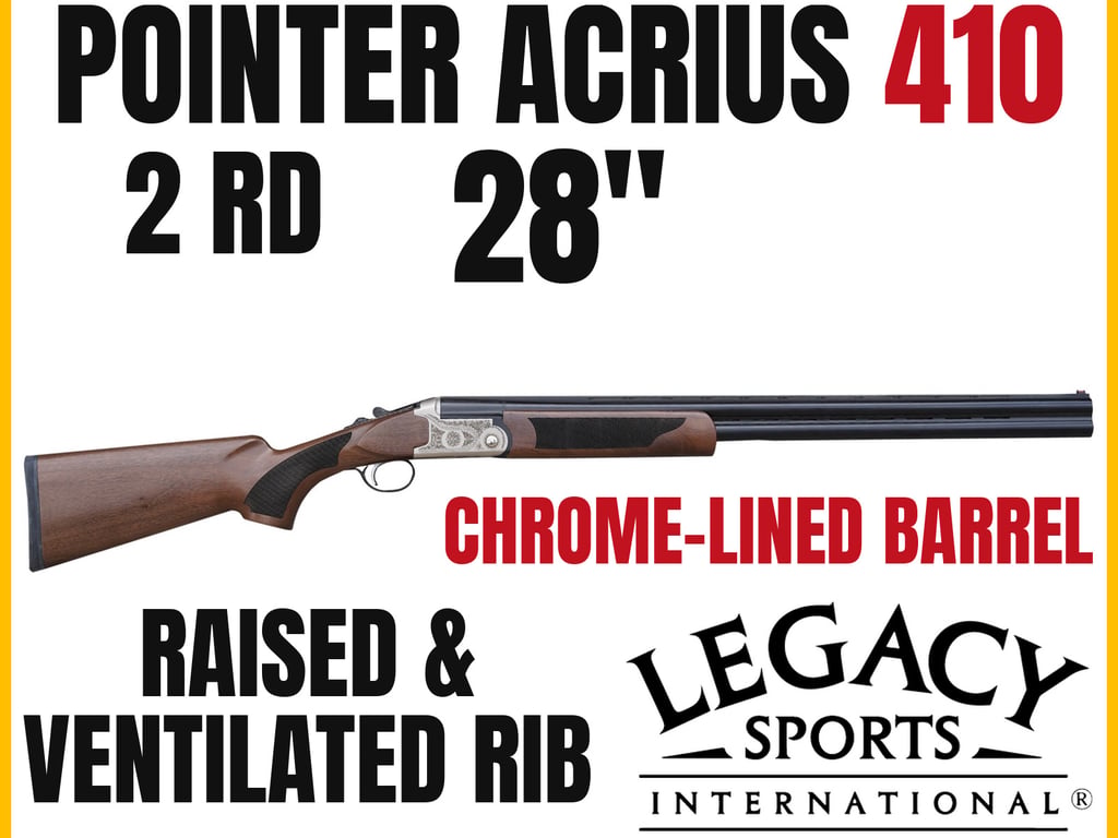 Pointer Acrius-img-0