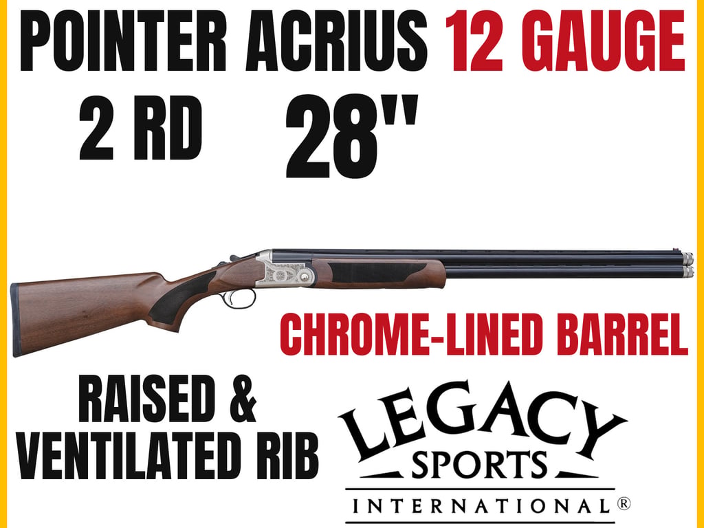 Pointer Acrius-img-0