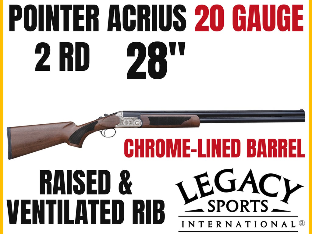 Pointer Acrius-img-0