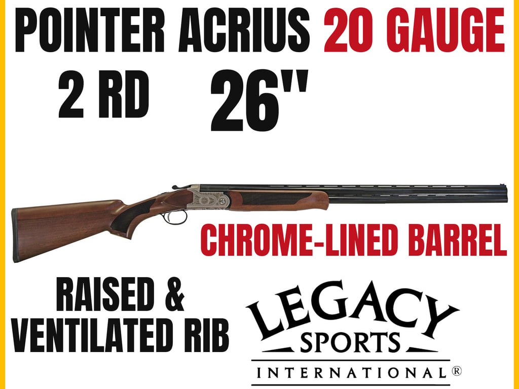 Pointer Acrius-img-0
