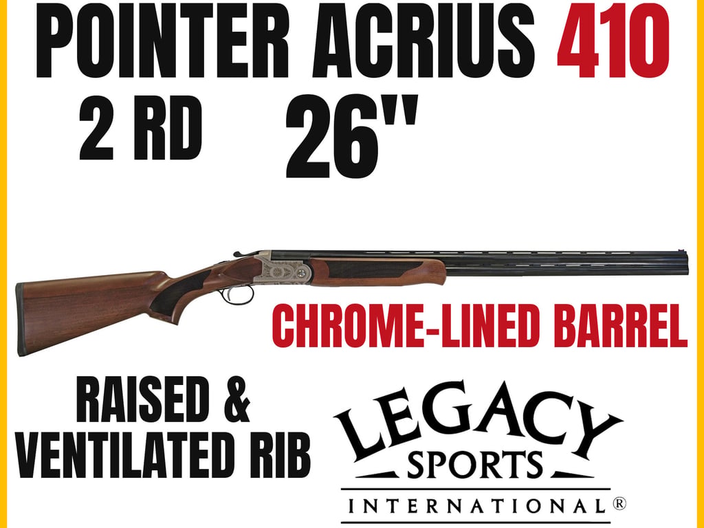 Pointer Acrius-img-0