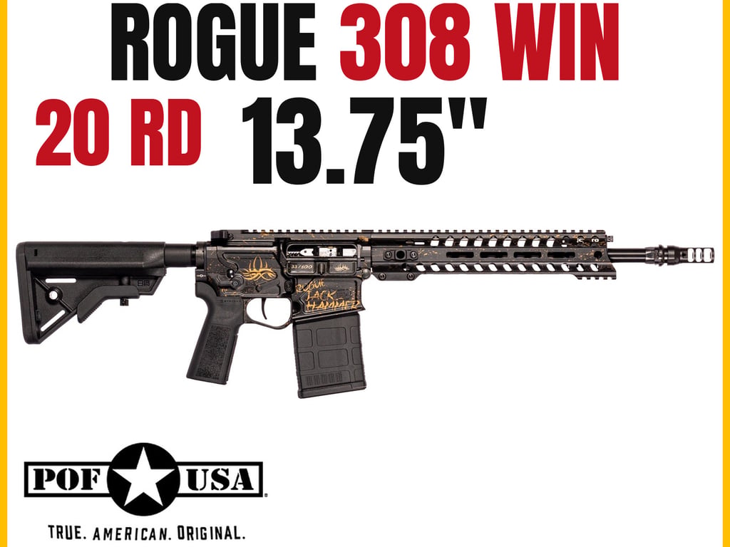Patriot Rogue-img-0