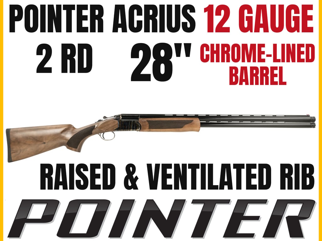 Pointer Acrius-img-0