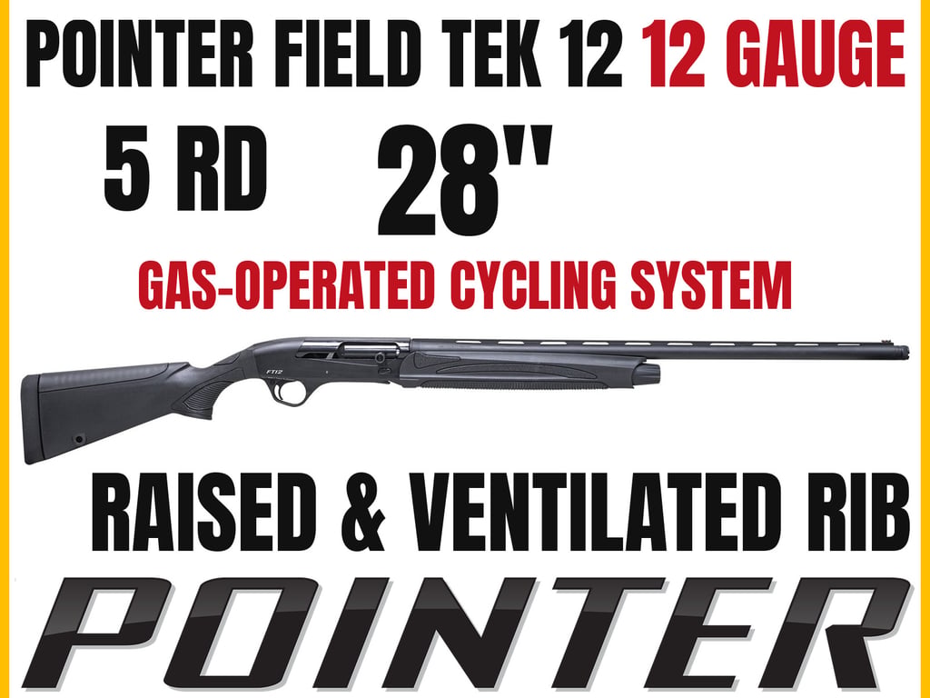 Pointer Field Tek 12-img-0